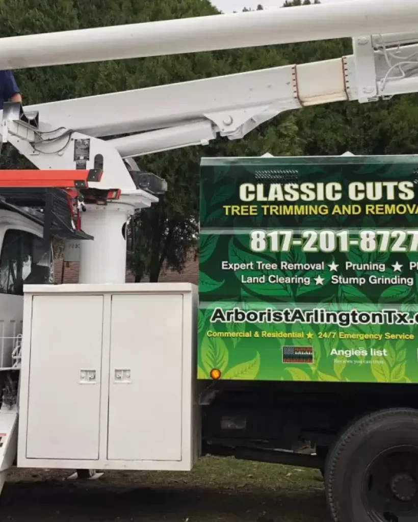 Classic-Cuts-Tree-Trimming-And-Removal-11